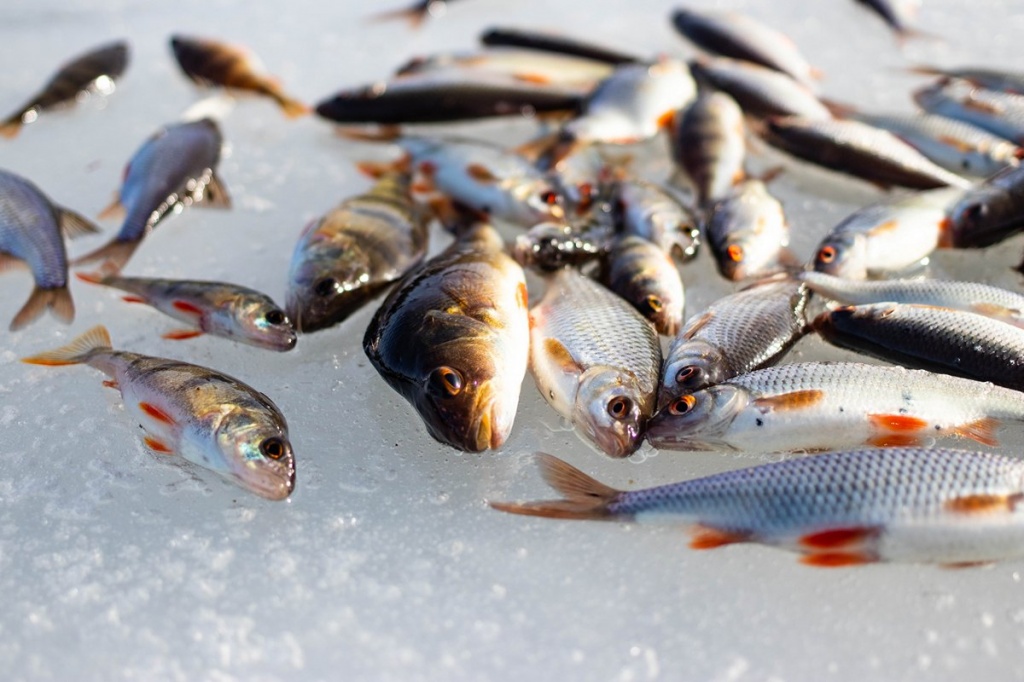 Рыбалка по последнему льду ранней весной 00003.JPG